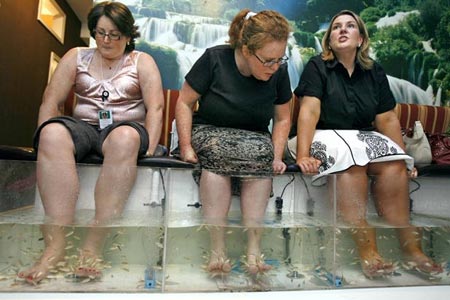 Fish Spa